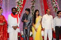 Gopichand Malineni Wedding Reception Gallery